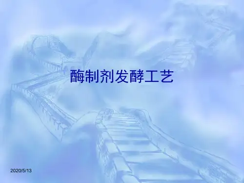 酶制剂生产