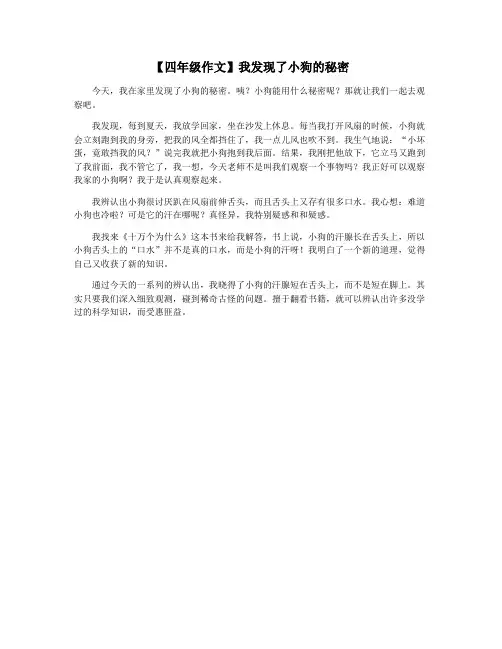 【四年级作文】我发现了小狗的秘密