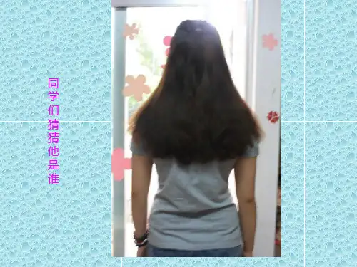 最新人美版美术八年级上册第二课《手绘线条图像——物象的多视角表达》ppt课件1 