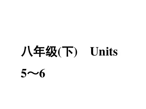 2019年陕西中考英语复习课件： 八年级(下)Unit5-6(共47张PPT)
