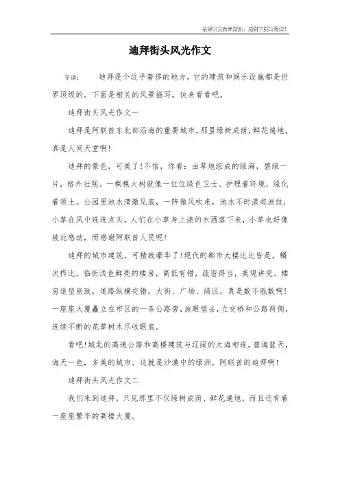 迪拜街头风光作文