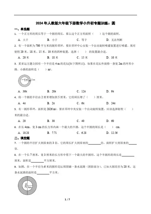 2024年人教版六年级下册数学小升初专题训练：圆(含答案)