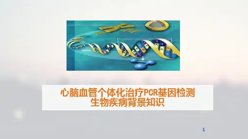 心脑血管个体化治疗PCR基因检测生物疾病背景知识讲解培训学习PPT课件