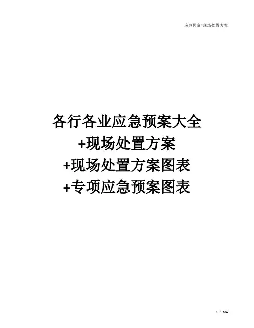 各行各业应急预案大全+现场处置方案+现场处置方案图表+专项应急预案图表(200页)