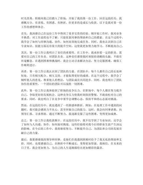 第一份工作入行感想体会