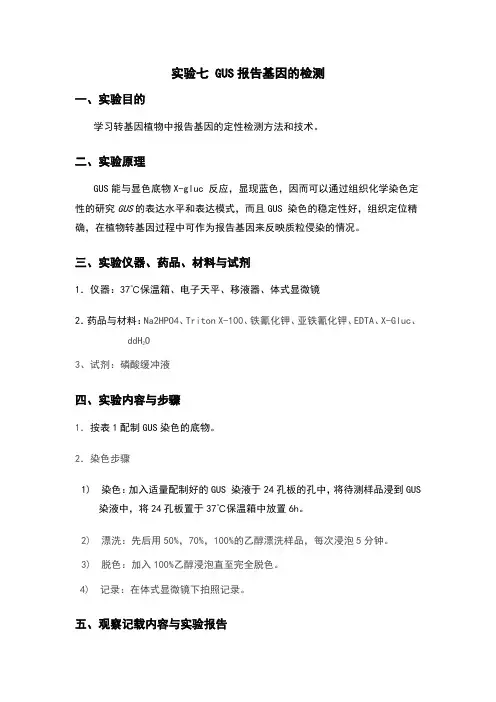 实验七GUS报告基因的检测