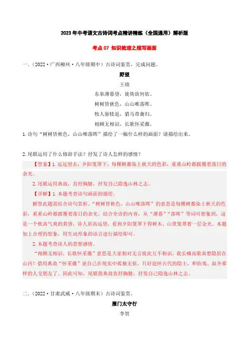 最新中考语文古诗词考点精讲精练知识梳理之描绘画面(练习全国通用)解析版