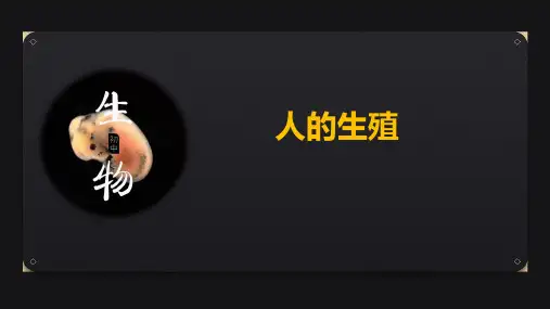 1-2人的生殖(课件)人教版生物七年级下册
