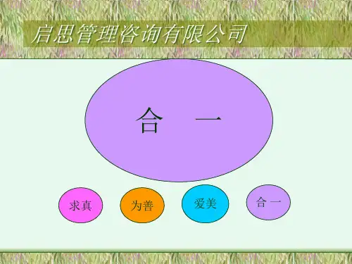 年度研发策略规划报告(PPT)