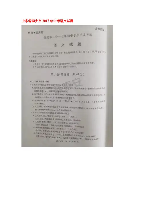 山东省泰安市2017年中考语文试题