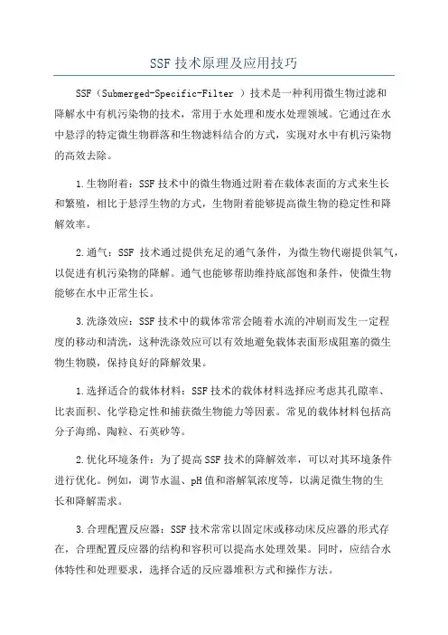 SSF技术原理及应用技巧