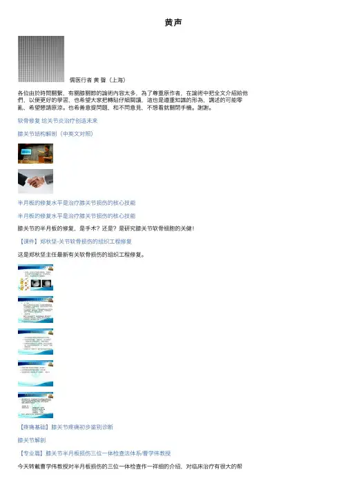 黄声——精选推荐