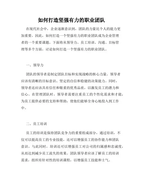 如何打造坚强有力的职业团队