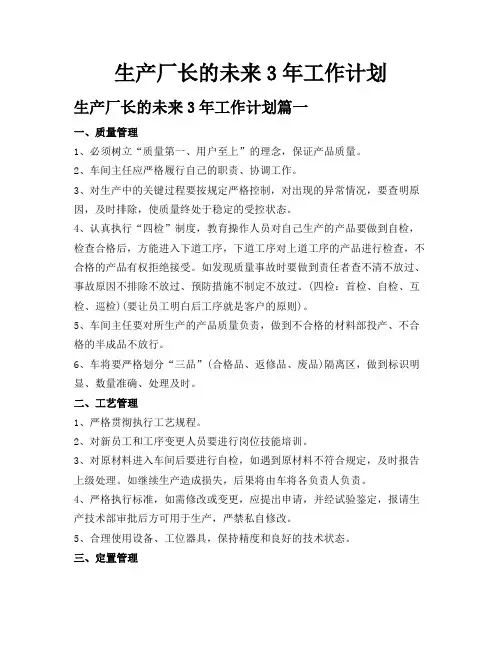 生产厂长的未来3年工作计划