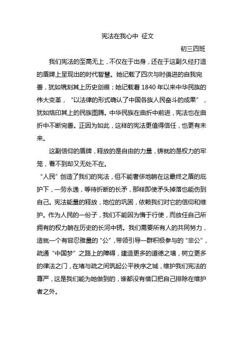 宪法在我心中