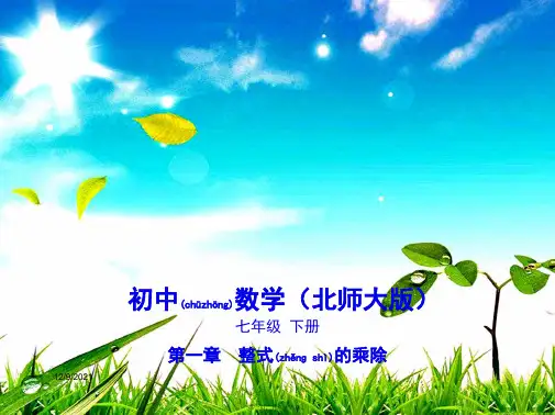 七年级数学下册 第1章 整式的乘除 1.2 幂的乘方与积的乘方课件下册数学课件