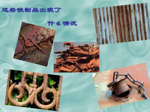 六年级下册科学课件2.5 铁生锈了｜教科版 (共36张PPT)