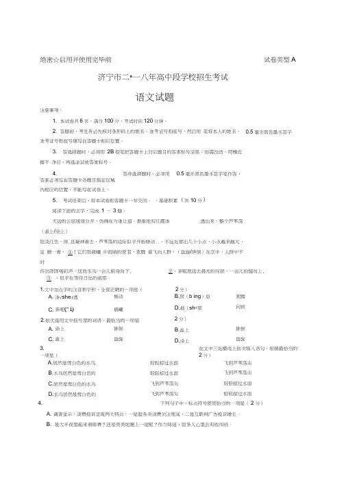 2018年山东省济宁市中考语文试题