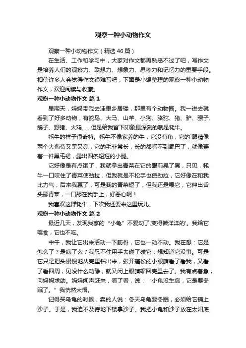 观察一种小动物作文（精选46篇）