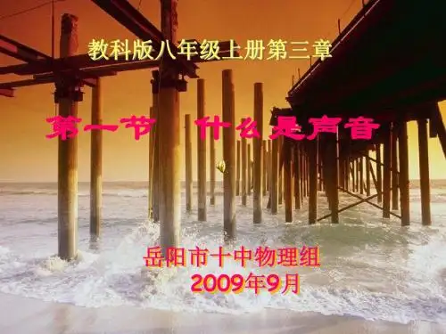 第三章 声的世界课件
