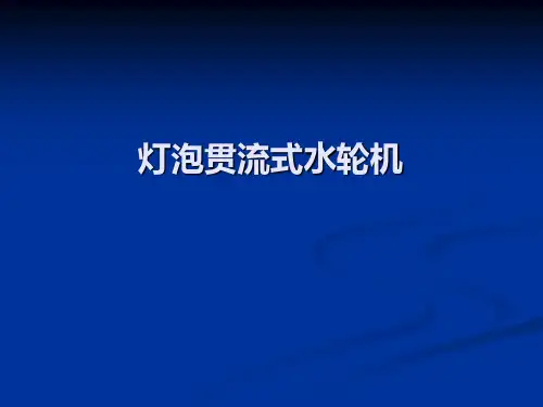 灯泡贯流式水轮机