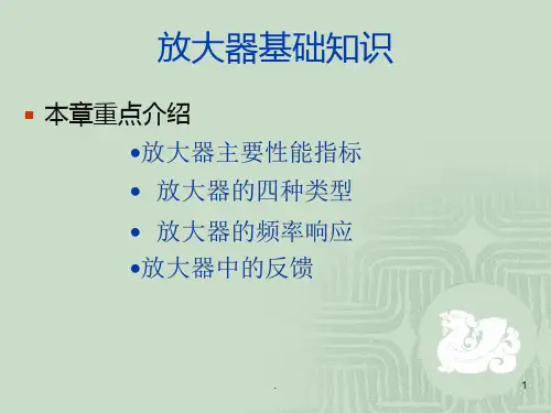 放大器基础知识解析PPT课件