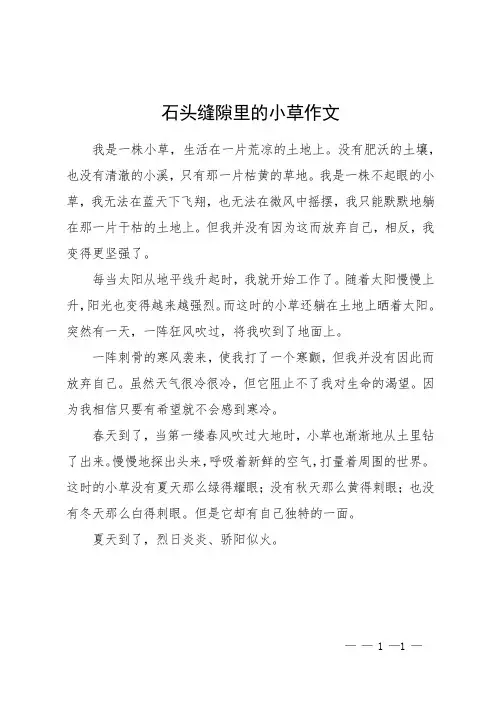 石头缝隙里的小草作文