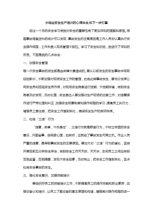 水电站安全生产培训的心得体会,和下一步打算