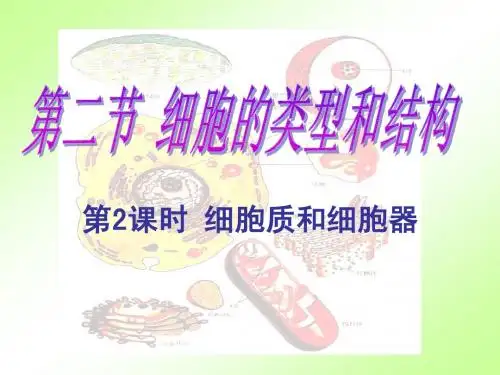 细胞的类型与结构
