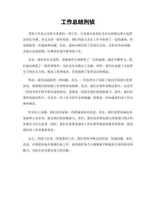 工作总结刑侦