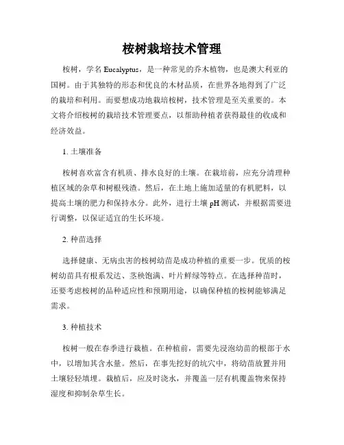 桉树栽培技术管理