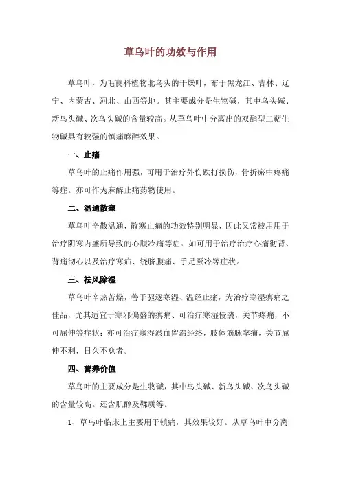 草乌叶的功效与作用