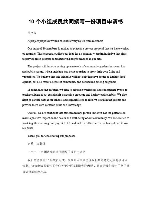 10个小组成员共同撰写一份项目申请书
