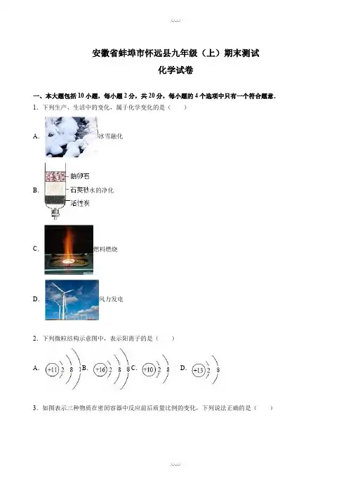 安徽省蚌埠市九年级化学上册期末测试卷(附答案解析)·2019学年(加精)