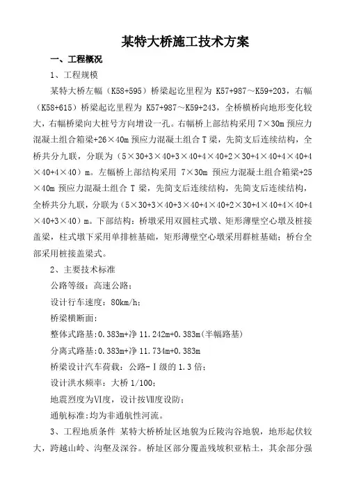 某特大桥施工技术方案