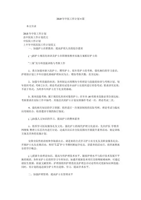 2019年中医工作计划4篇