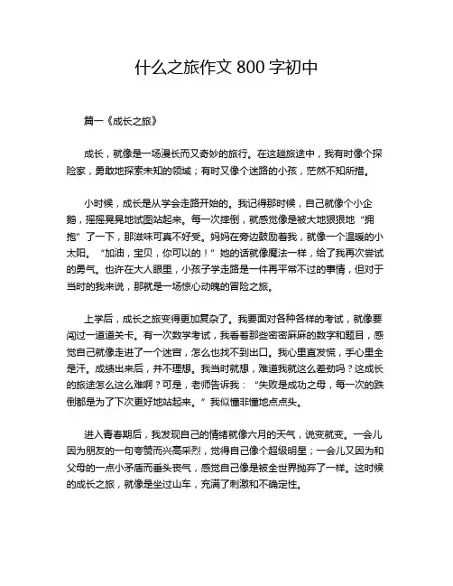 什么之旅作文800字初中