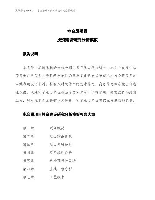 水合肼项目投资建设研究分析模板重点及难点分析