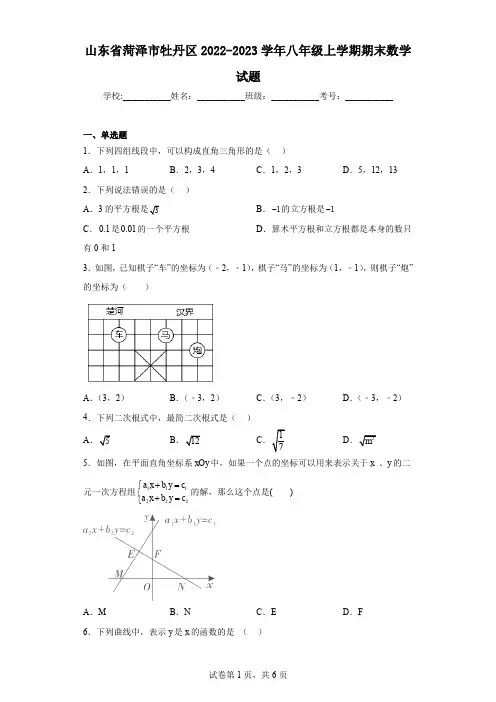 山东省菏泽市牡丹区2022-2023学年八年级上学期期末数学试题