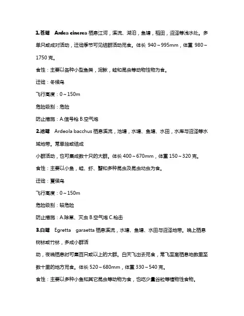 鸟类知识
