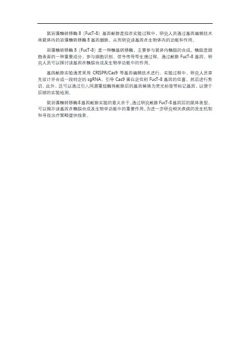 鼠岩藻糖转移酶8 基因敲除