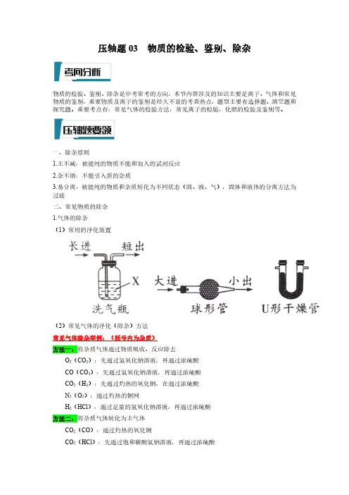 专题03 物质的检验、鉴别、除杂-2023年中考化学压轴题专项训练(全国通用)(解析版)