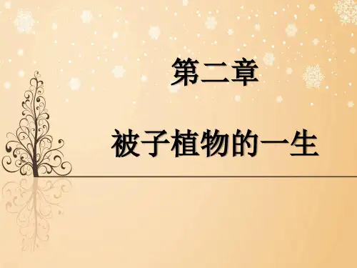 人教版 生物 七年级 上册 第三单元 第二章 第一节 种子的萌发(41页)