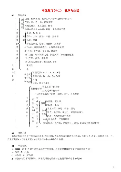 2020九年级化学下册 单元复习(十二)化学与生活习题 (新版)新人教版