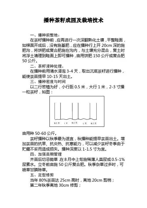 播种茶籽成园及栽培技术