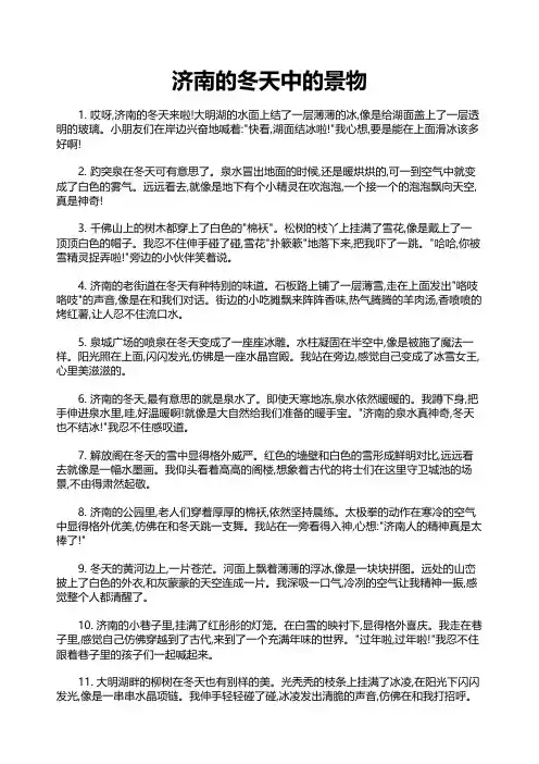 济南的冬天中的景物