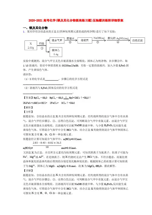 2020-2021高考化学(镁及其化合物提高练习题)压轴题训练附详细答案