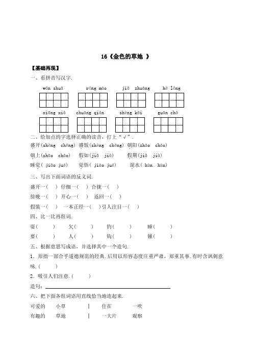 三年级上册语文一课一练16《金色的草地 》(附答案)