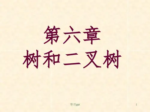 数据结构严蔚敏第6章