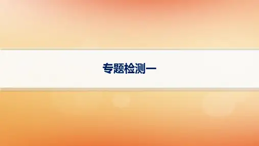 2025届高考数学二轮总复习专题检测1函数与导数课件